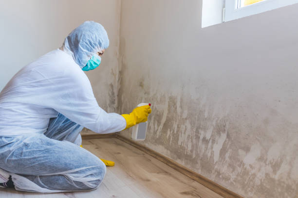 Hvac And Air Duct Mold Remediation inspection of HVAC system in East Rutherford